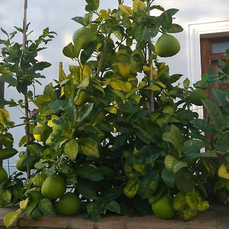 Borgo Patierno Kır Evi *